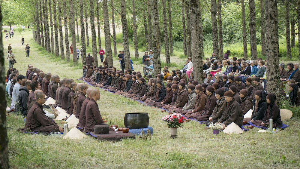 Sangha en práctica contemplativa